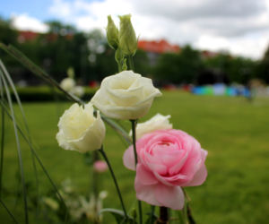 Wystawa Florystyczna na Wałach Chrobrego