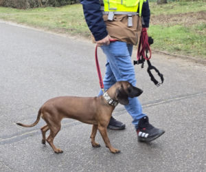 Tajemnicze zaginięcie pod Puławami. Gdzie jest 45-letni Tomasz Wiśniecki?