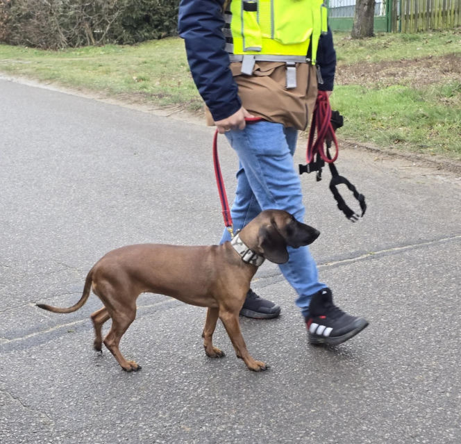 Tajemnicze zaginięcie pod Puławami. Gdzie jest 45-letni Tomasz Wiśniecki?