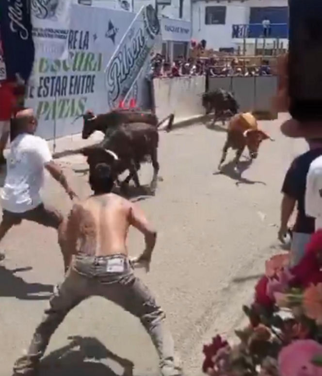 Szokujące sceny podczas gonitwy byków. Mężczyzna oszukał przeznaczenie