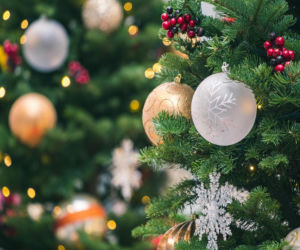 Choinka dla życia już 17 grudnia!