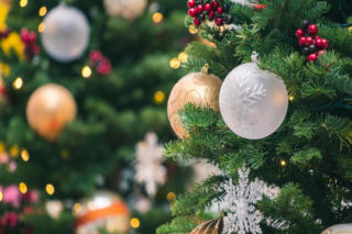 Choinka dla życia już 17 grudnia! 