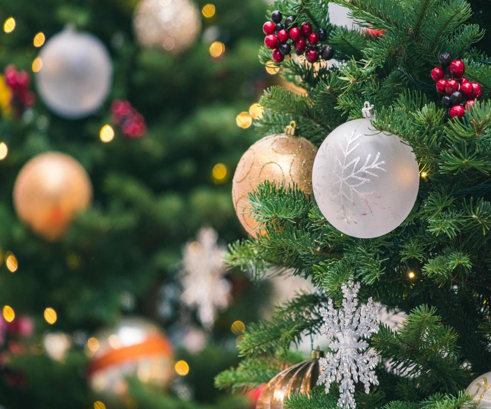 Choinka dla życia już 17 grudnia! 