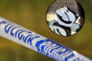 Znalezisko z grzybobrania chciał przerobić na ozdobę. Skończyło się akcją służb