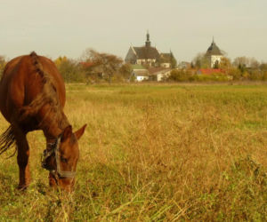 Gmina Kije. To jedna z najbogatszych wsi w Świętokrzyskiem