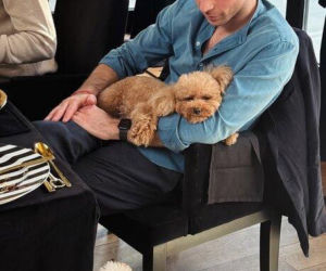 Wielkanoc u Przetakiewicz? To nie święta, to luksusowy bankiet!