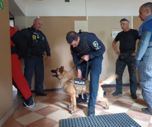 Psy służbowe, szkolenia i strefa pierwszej pomocy. Trwa drugi dzień CERBERUS K9 w Ostrowie