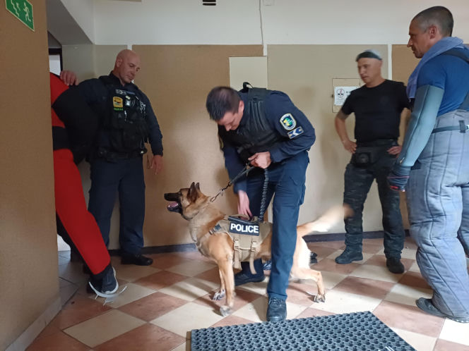 Psy służbowe, szkolenia i strefa pierwszej pomocy. Trwa drugi dzień CERBERUS K9 w Ostrowie