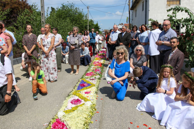 W Kluczu Procesja Bożego Ciała przeszła po kwietnych kobiercach