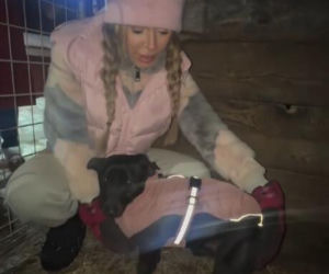 Koniec heroizmu Dody? Artystka mówi dość po dramatycznych wizytach w schroniskach