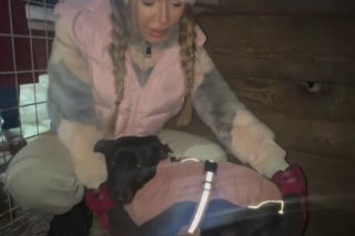 Koniec heroizmu Dody? Artystka mówi dość po dramatycznych wizytach w schroniskach