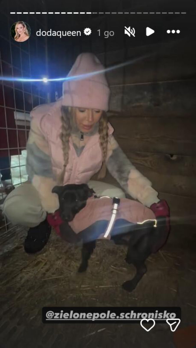 Koniec heroizmu Dody? Artystka mówi dość po dramatycznych wizytach w schroniskach