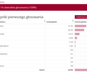 Wybory prezydenckie 2020 w woj. śląskim. W Katowicach i Sosnowcu wygrał Rafał Trzaskowski [WYNIKI W MIASTACH I POWIATACH]