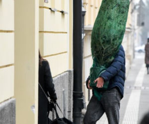 Julia Wieniawa i Nikodem Rozbicki kupili choinkę