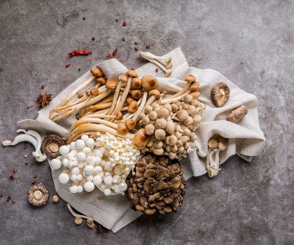 Grzyby lecznicze - maitake, reishi i shitake. Jakie mają właściwości lecznicze?