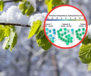Wiosna w lutym? Prognozy wskazują, kiedy koniec zimy w Polsce 