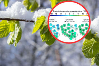 Wiosna w lutym? Prognozy wskazują, kiedy koniec zimy w Polsce 