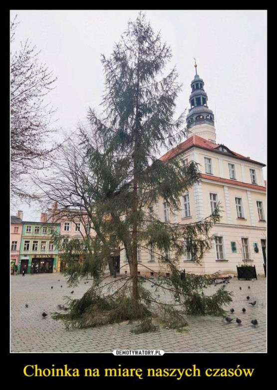 Najlepsze memy o Zielonej Górze