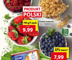 Promocje w Lidlu