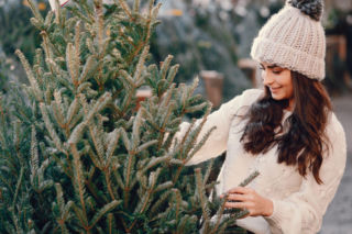 Leśnicy będą rozdawać darmowe choinki. Wystarczy spełnić jeden warunek. Wyjątkowa akcja w całej Polsce 