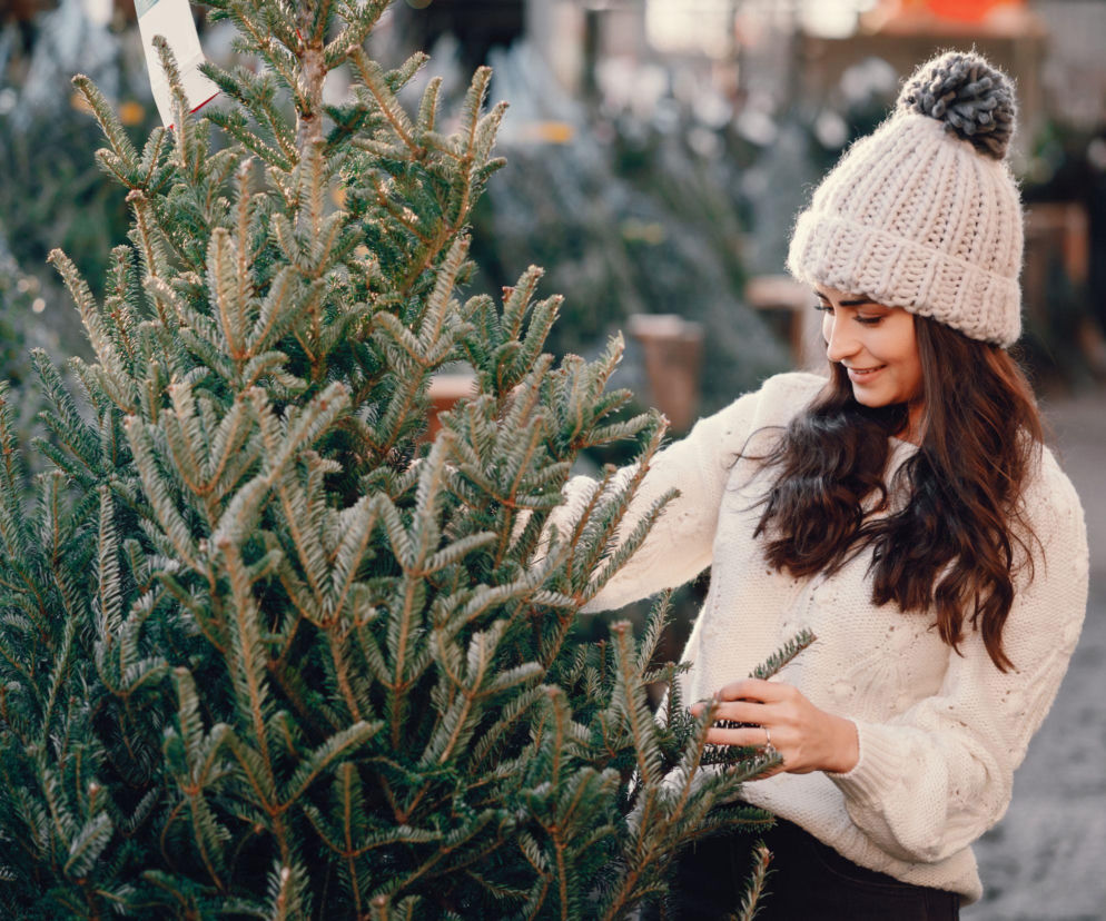 Darmowe choinki od leśników. Wyjątkowa akcja w całej Polsce!