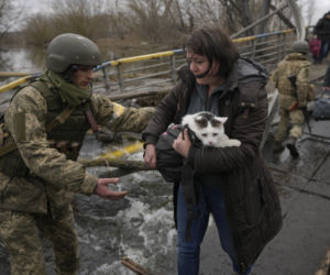 Ukraina. Uratowane zwierzęta