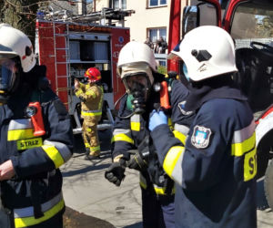 Pożar mieszkania w Gostyninie! Większemu nieszczęściu zapobiegli strażacy! [ZDJĘCIA]