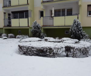 Dziś (19.03.) ostatni dzień zimy. Jutro (20.03.) początek astronomicznej wiosny