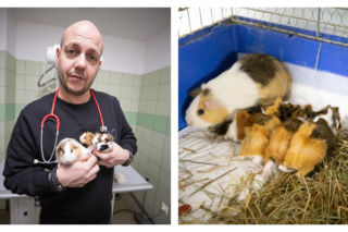 W przemyskiej Lecznicy powitali na świecie kudłate noworodki!