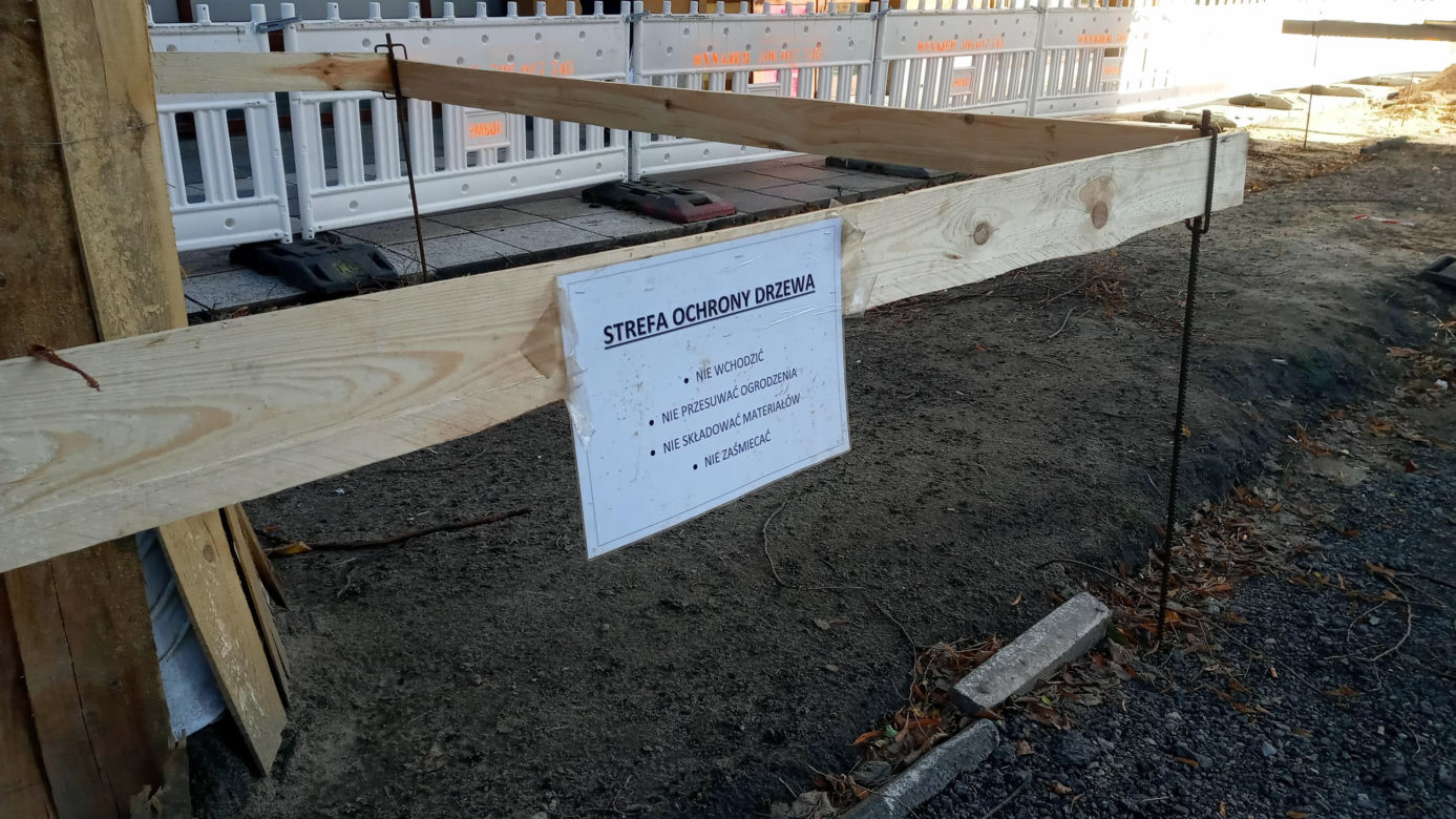 Z alei Wojska Polskiego wycięto kilkanaście drzew