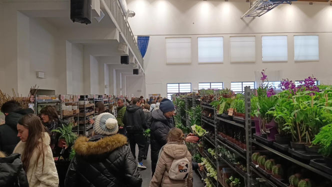 Festiwal Roślin w Enea Arenie