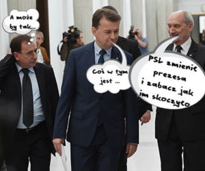 MEMY. Gabinet Tuska.