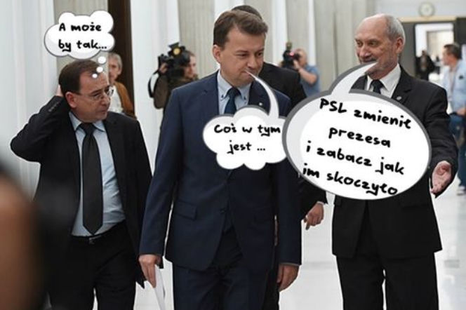MEMY. Gabinet Tuska.
