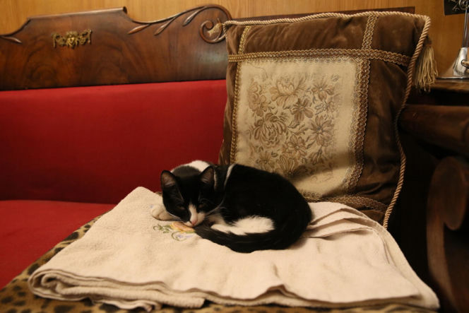 Jarosław Kaczyński wprowadził się do kuzyna