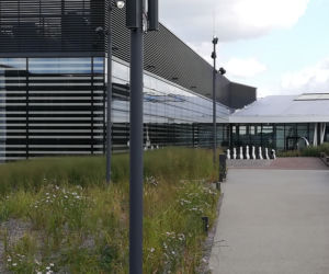 Galeria Północna