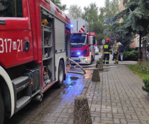 Pożar na Ursynowie, spłonęło mieszkanie. W środku uwięzione były zwierzęta