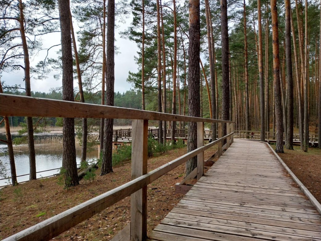Stawy Echo. Roztoczański Park Narodowy