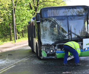 Szczecin: Zderzenie autobusu z samochodem osobowym