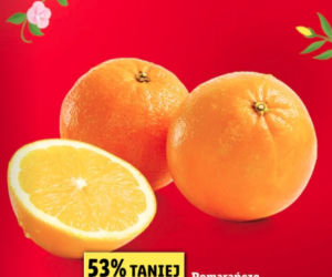 Lidl -  Wielkanocna promocja