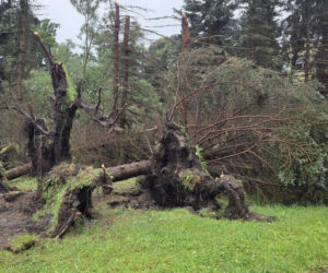 Krajobraz jak po apokalipsie. Wichura zniszczyła gminę Mysłakowice w kilkanaście minut