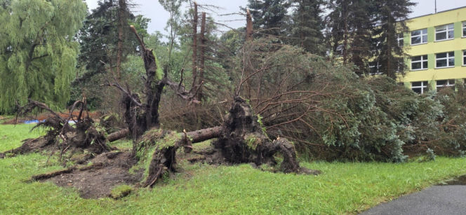 Krajobraz jak po apokalipsie. Wichura zniszczyła gminę Mysłakowice w kilkanaście minut