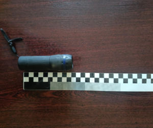 Policja rozbiła grupę złodziei bydła. Pięciu mężczyzn z zarzutami