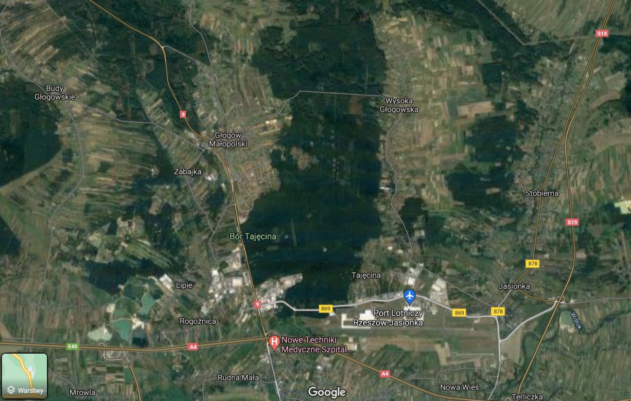 Las w okolicach Głogowa Małopolskiego