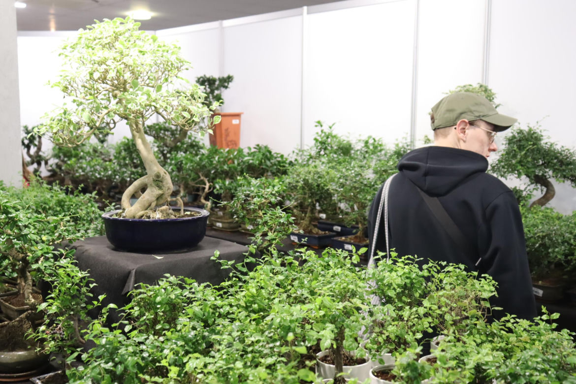 World Flower Show w Poznaniu