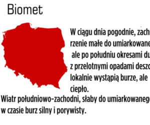 Biomet 1 czerwca 2013