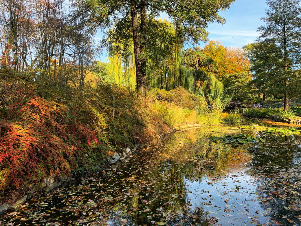 Jesień w ogrodzie botanicznym we Wrocławiu