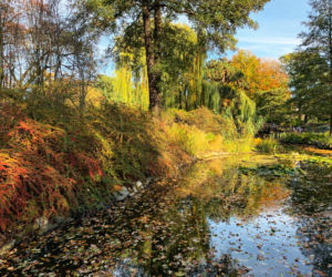 Jesień w ogrodzie botanicznym we Wrocławiu