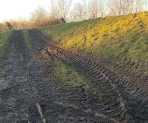 Dewastacja wałów przeciwpowodziowych pod Wrocławiem