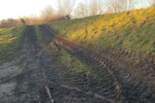 Dewastacja wałów przeciwpowodziowych pod Wrocławiem