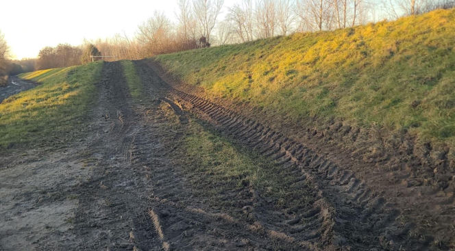 Dewastacja wałów przeciwpowodziowych pod Wrocławiem